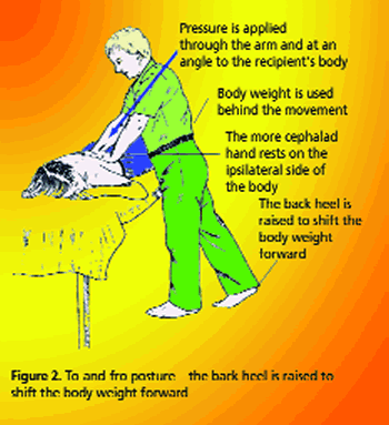 To-and-Fro Psture (Figure 2)