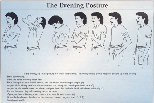 The Evening Posture
