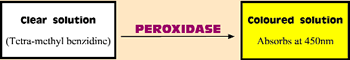 The enzyme converts a clear solution to intense yellow colour which absorbs light at 450 nanometers.
