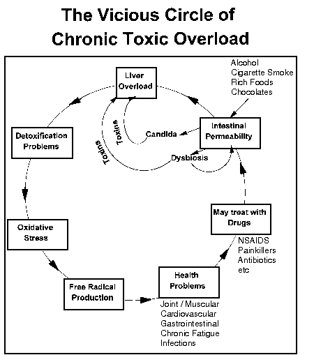 The Vicious Circle of Chronic Toxic Overload
