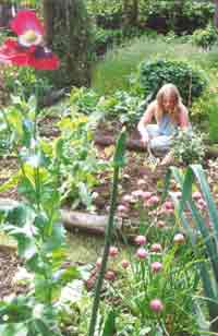 Planting in organic raised bed