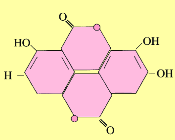 Figure 1 Structure of Ellagic Acid