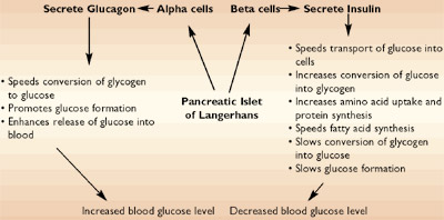 Blood glucose chart