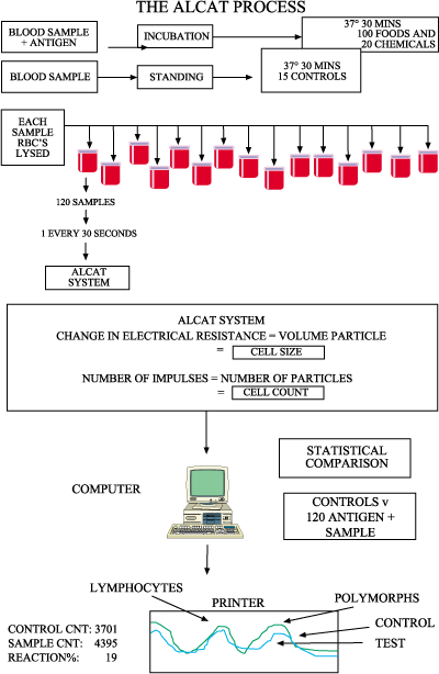 The Alcat Process Chart