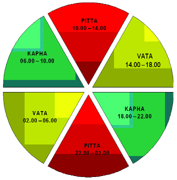 Figure 1: Ayurvedic energy cycles thoughout the day