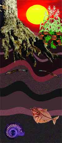 Image of soil and growth