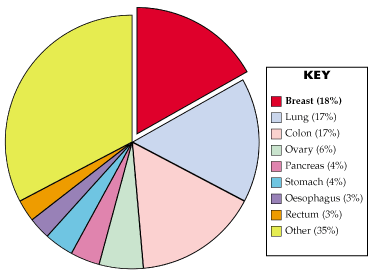 Figure 1: Causes of Cancer Mortality in Women, UK, 1995 (Source: Cancer Research Campaign)