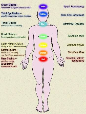 Diagram showing positions and functions of chakras and examples of suitable essential oils.