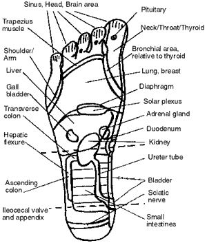 Energy Pathways