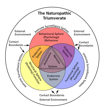 The Naturopathic Triumverate
