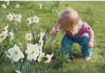 The perfect squat. In order to inspect the flower more closely, she has 'folded' at the joints designed for folding; chiefly the knees and hips. She has chosen to turn her head to look at the flower, rather than twisting her body. Adults often turn their body or collapse their spine, rather than simply moving the head on the top of their spine