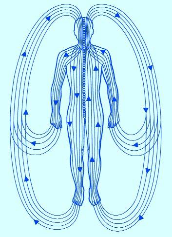 Figure 3 Long line currents form two circuits flowing in opposite directions