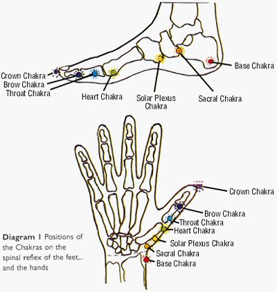 Diagram 1 Position of the Chakras on the spinal reflex of the feet... and the hands