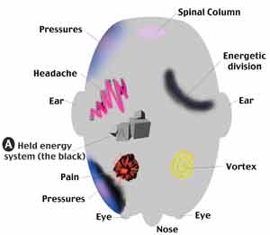 Figure 1 Ã¢â‚¬â€œ A representation of the energetic portrait of brain/mind/body