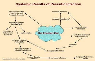Systemic Results of Parasitic Infection
