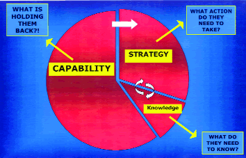 DIAGRAM 6: The 'Octopus CSK' of Applied Clinical PNI. The fastest route to sustainable change is C> S> K. A client must satisfy all three elements to achieve meaningful results.