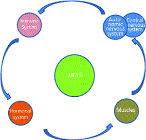 As Dr Bruun Wyller suggests in his thesis on cfs, Heterogeneity of Causal Factors Leading to a Final Common Pathway there are many ways to get me which all lead to the same physiological state of dysfunction.