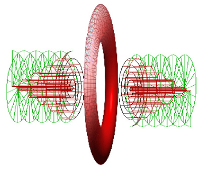 Fig.2d Toroidal Structure of the Assemblage Point.