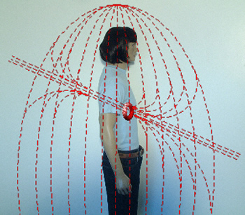 Fig.2e A shift in the Assemblage Point is a dislocation of the Toroidal Structure itself to a new detrimental (or beneficial) location