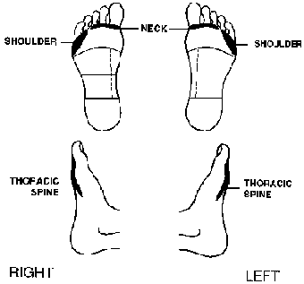 Reflexes in the feet that revealed sensitivity: Frozen Shoulder