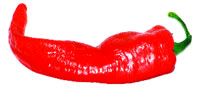 A cayenne pepper