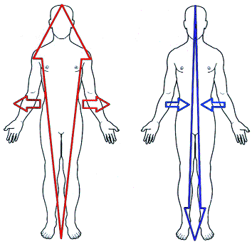 Figure 1. Primary inhalation (left) and exhalation (right)