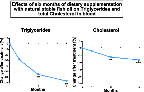 Effects of six months of dietary supplementation