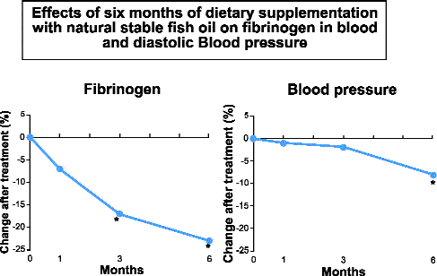 Effects of six months of dietary supplementation