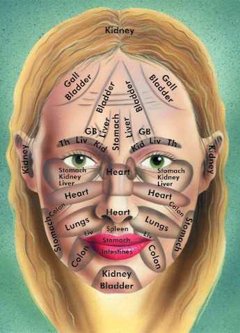 Map of the facial zones