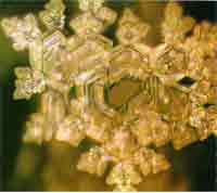 Water crystals formed when distilled water was frozen after being played Bach's 'Air on a G String'