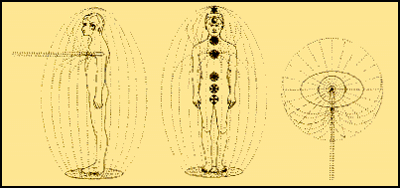 Fig 1 The vortex of the energy field is called THE STATIONARY ASSEMBLAGE POINT. The position shown is the location and alignment for optimum mental and physical health (organ and glandular synergy). Large deviations from this location can cause serious health problems.