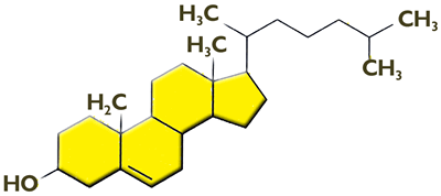 Cholesterol diagram