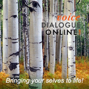 [Image: Voice Dialgoue Online Program]