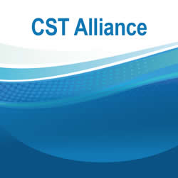[Image: Craniosacral Therapy Alliance - CST Training]