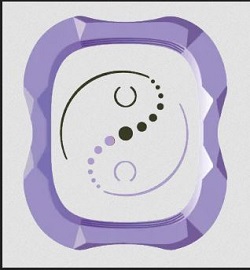 [Image: Alexander Barrie System of Pelvic Correction™]