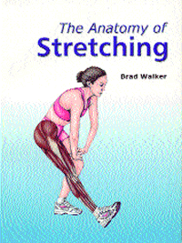 [Image: The Anatomy of Stretching]