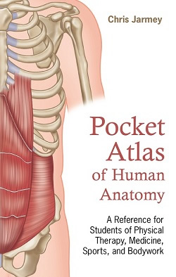 [Image: The Pocket Atlas of  Human Anatomy]