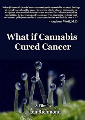 What if Cannabis Cured Cancer