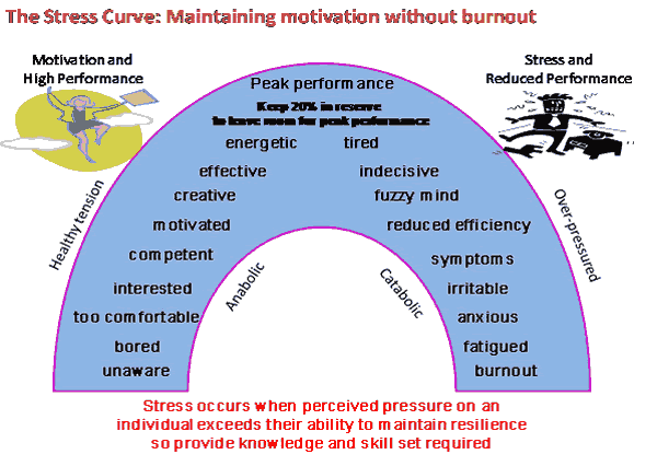 The Stress Curve