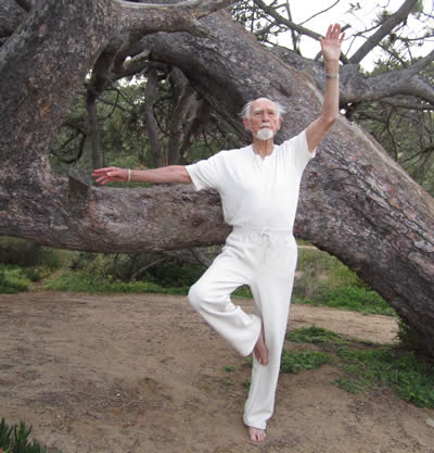 Standing Yoga Pose