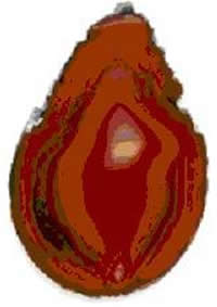 Agate Slice