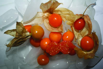 Physalis