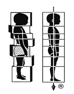 Rolfing Body Structure