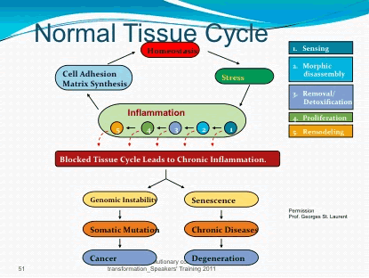 Process of inflammation