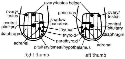 nail reflex stress