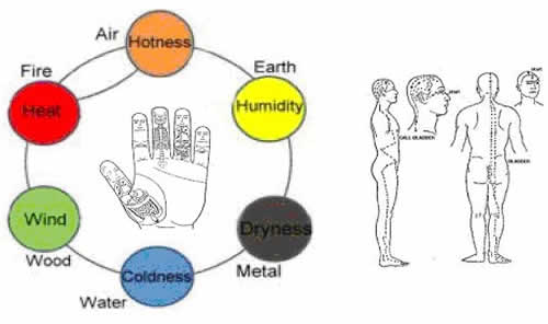 Byol Meridian Chart In Sujok Therapy