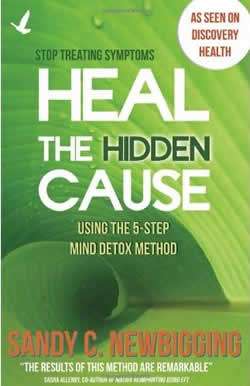 Healthe Hidden Cause