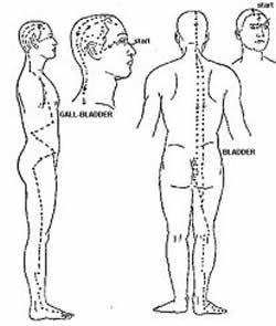 Byol Meridian Chart In Sujok Therapy