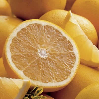 lemon - naringenin
