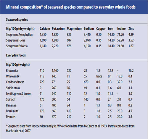 Mineral composition of seaweed species